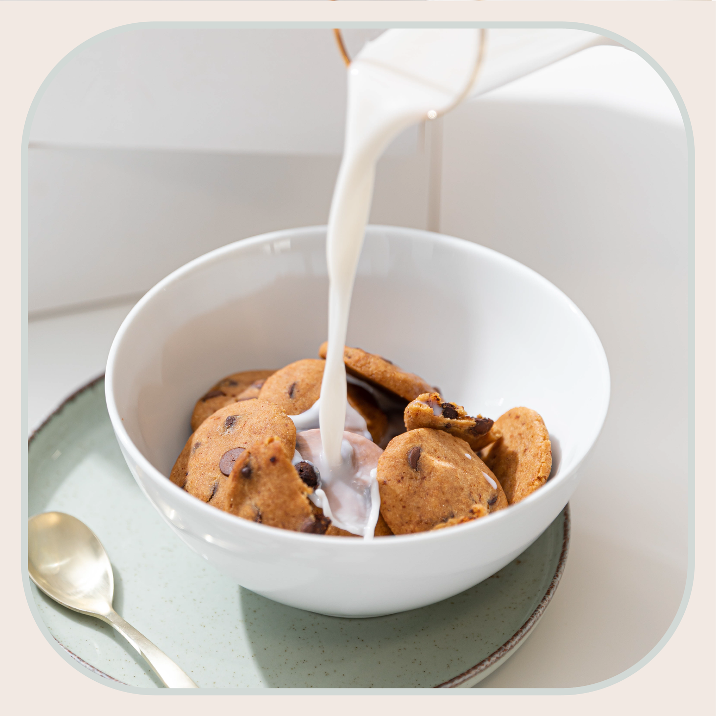 CHOCOLATE CHIP COOKIES